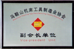 Vice President Unit of Maanshan Machine Tool and Tool Manufacturing Association